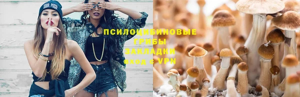 каннабис Богданович
