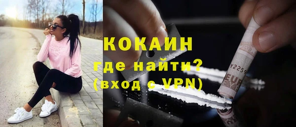 СК Богородск