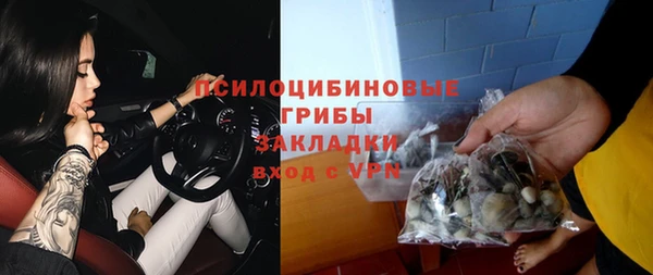 экстази Богородицк
