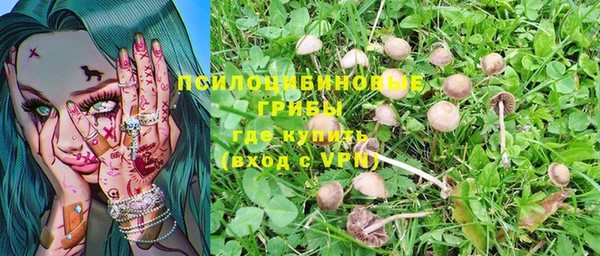 экстази Богородицк