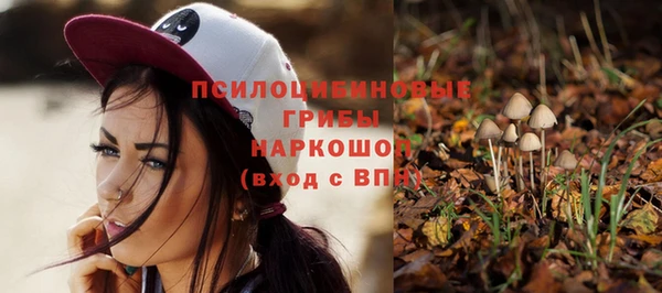 экстази Богородицк