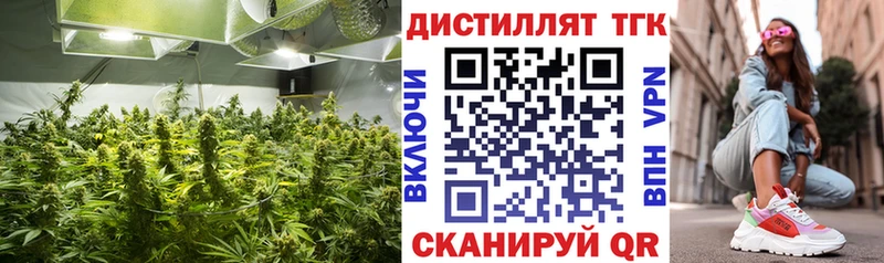 ТГК гашишное масло  купить наркотики цена  Неман 