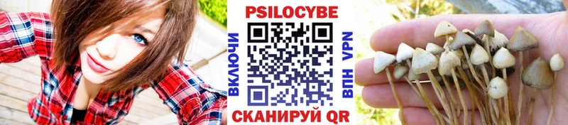 Псилоцибиновые грибы ЛСД купить закладку Неман